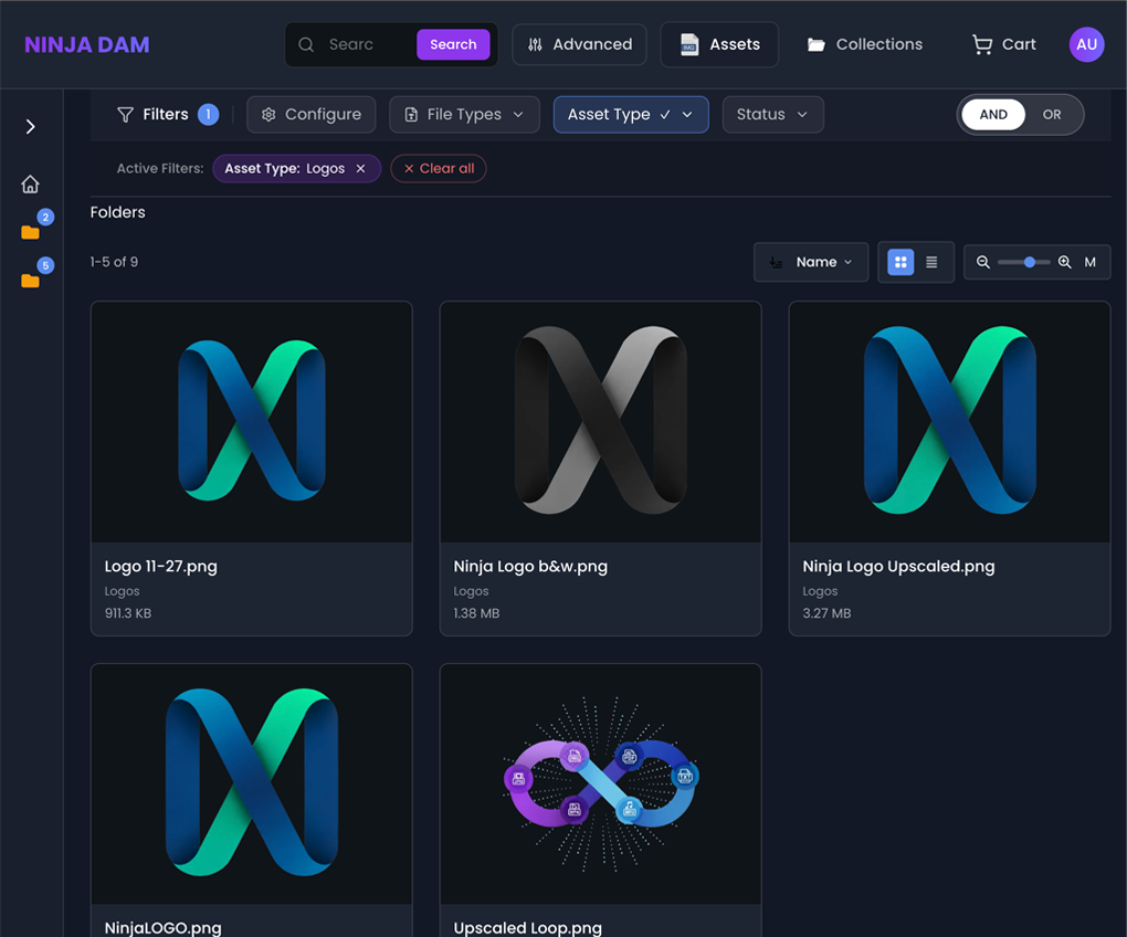 Ninja DAM Interface 1