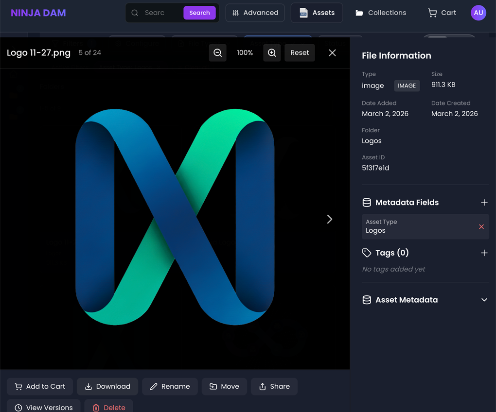 Ninja DAM Interface 2