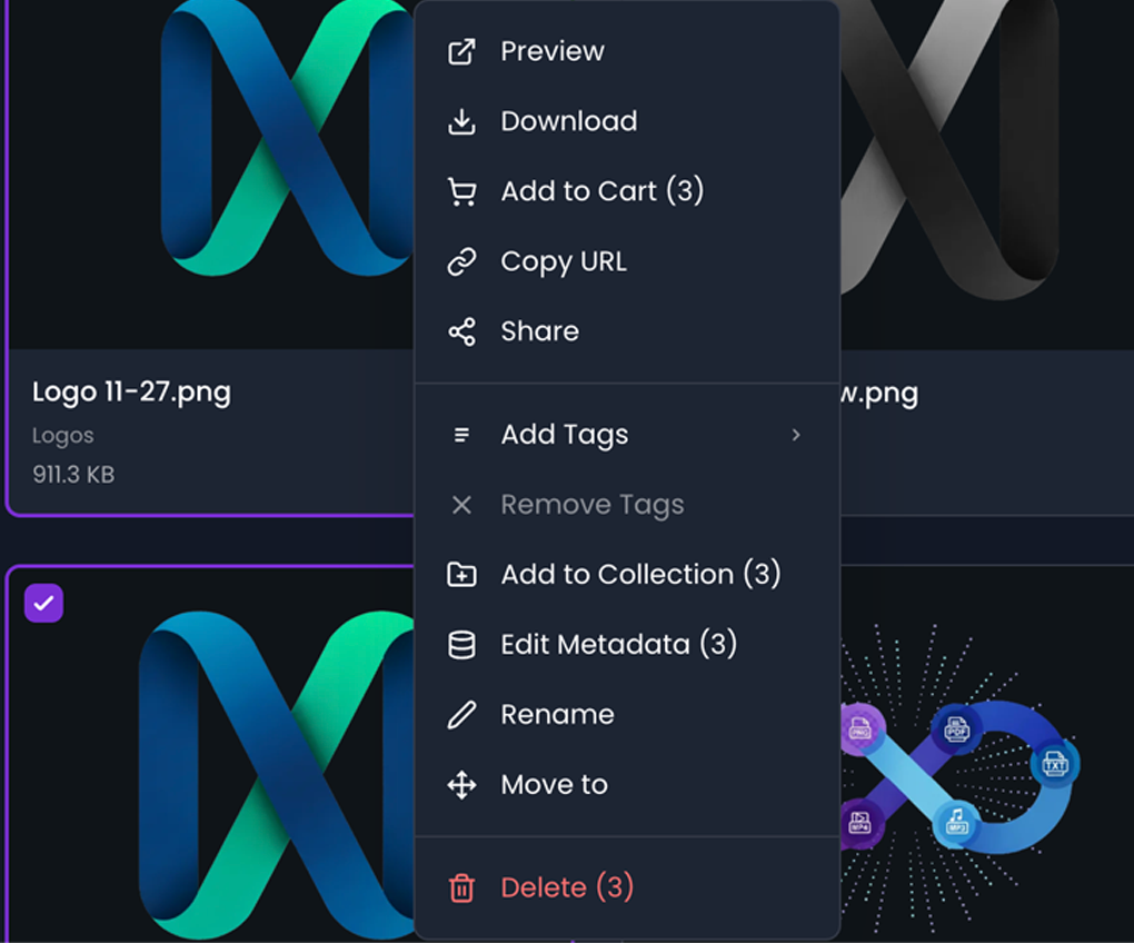 Ninja DAM Interface 4